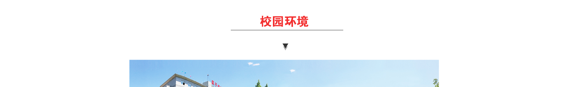 北京星干線藝考培訓(xùn)-一對一輔導(dǎo)