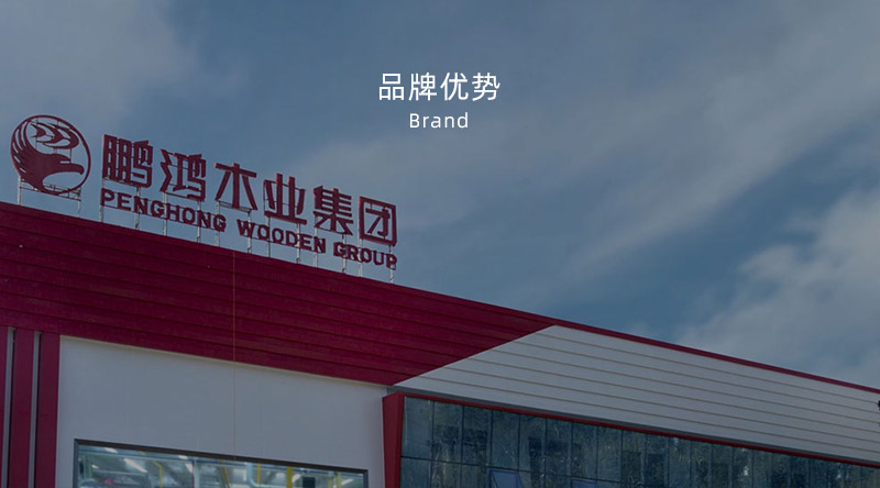 板材品牌、全屋定制品牌、生態板十大品牌
